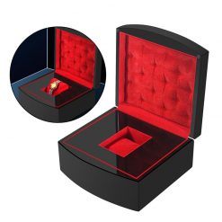luxusuhrenbox-1-uhr